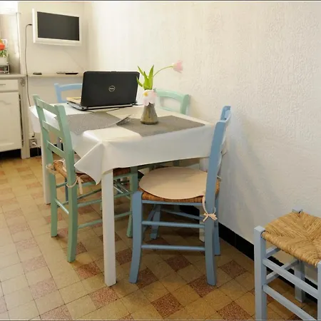Green Cat Place * 尼斯